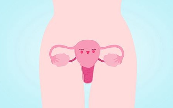 银川试管婴儿费用会受影响吗，卵巢情况对银川试管婴儿费用的影响因素