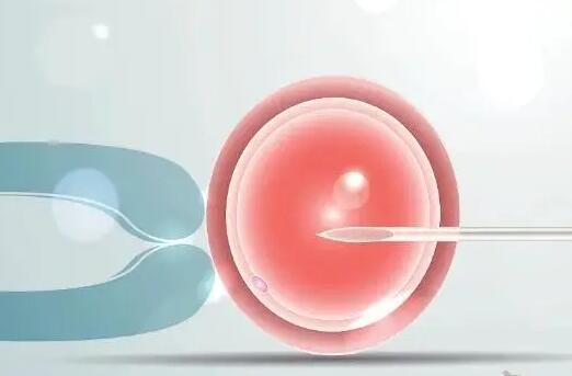 胚胎7细胞三级和6细胞二级试管移植哪个好看完你就知道了